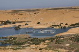 Image du Maroc Professionnelle de  Vue aérienne de la partie stagnante de la Sakia Al Hamra au environ de Laayoune où des oiseaux migrateurs comme les flamants roses trouvent refuge et repos durant leur voyage selon la saison, le 9 Avril 2010. (Photo / Abdeljalil Bounhar)


 